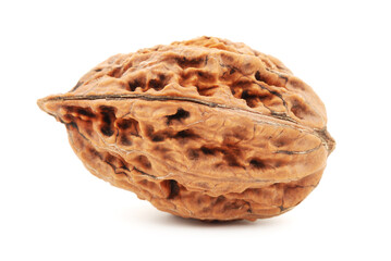 walnut on a white background 