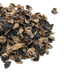 black fungus on white background