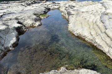 岩でできた海の池の水面に空模様が映ります海底には海藻そしてウミムシが歩いています