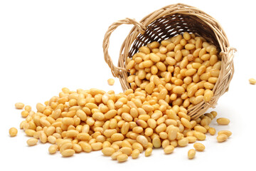 soybean isolated on white background 