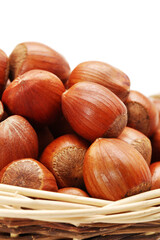 Hazelnuts on a white background