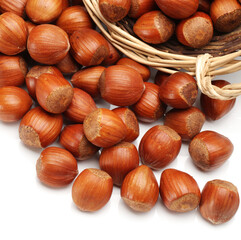 Hazelnuts on a white background