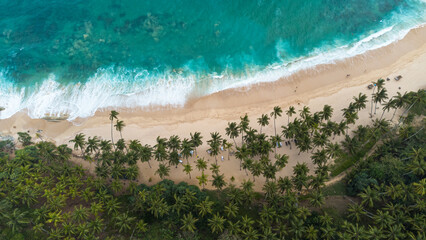 Widok z góry na plaże z palmami i ocean, tropikalny piękny krajobraz.