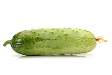 cucumber isolated on white
