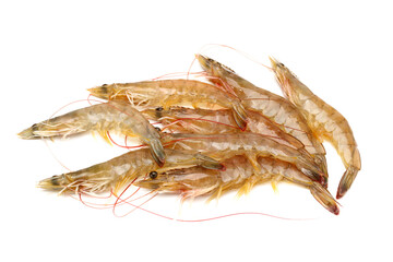shrimp isolated on white background