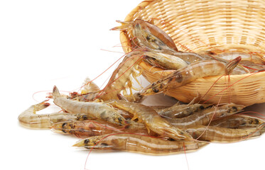 shrimps on a white background 
