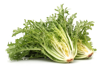 Escarole Endive on a white background