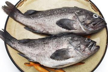 Fresh Grouper on white background