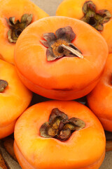 persimmon on a white background