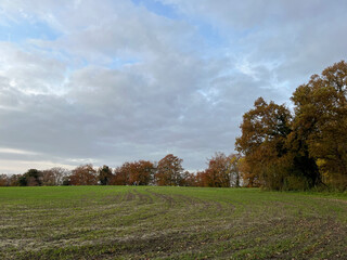 English agricultural field in late autumn. Cloudy blue skies.