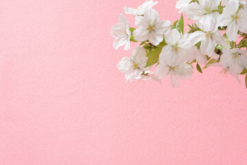 桜の布　和風の布