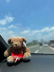 teddy bear in a car seat