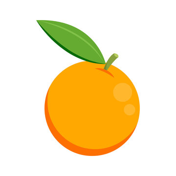 Orange cartoon vector. Orange icon. Fruit vector.