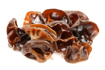 black fungus on white background 