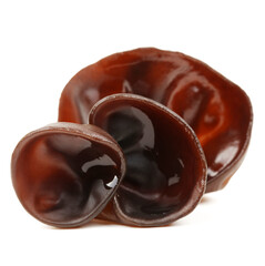 black fungus on white background 