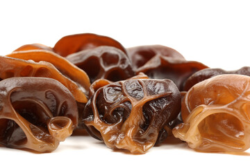 black fungus on white background 