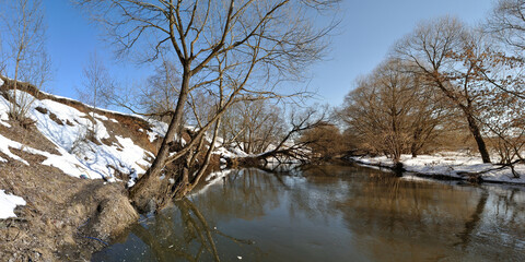Spring walk through the forest, beautiful panorama.