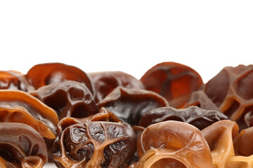 black fungus on white background 