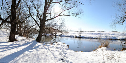 Spring walk through the forest, beautiful panorama.