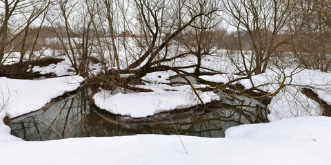 Spring walk through the forest, beautiful panorama.