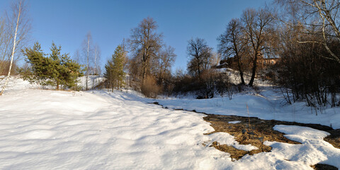 Spring walk through the forest, beautiful panorama.