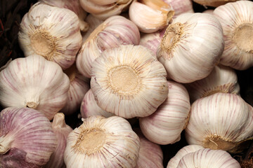close up of garlic