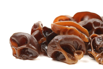 black fungus on white background