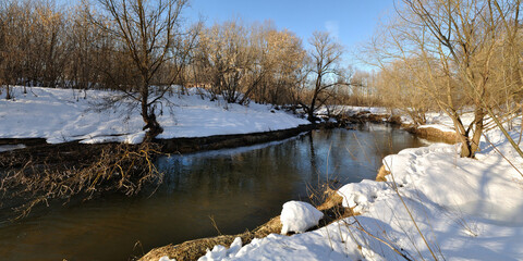 Spring walk through the forest, beautiful panorama.