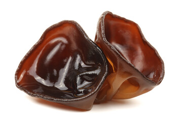 black fungus on white background