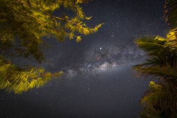 Milky Way during night in Zanzibar, Tanzania
