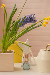 Eastern rabbits and spring flowers in pots on white background indoors. Eastern decoration