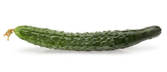 cucumber isolated on white background