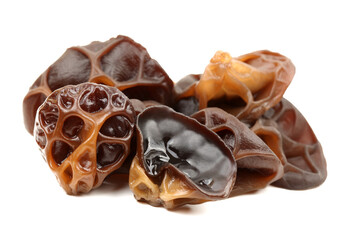 black fungus on white background 