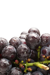 Grapes on white background 