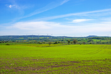 Landscape view with a green field in the countryside