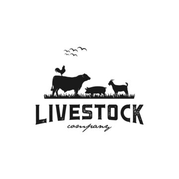 Livestock animals farm logo design template