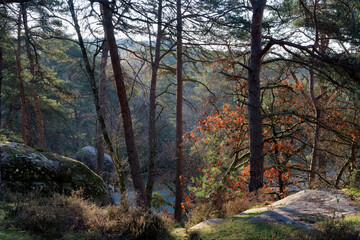 Malesherbes rocks in the hill of Buthiers village. French Gâtinais regional nature park