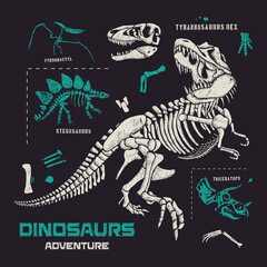 Dinosaurs fossils and bones hand drawn vector illustration  © esa