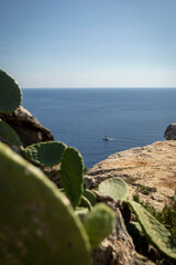 Meer mit Boot
