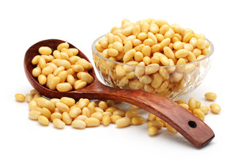 soybean isolated on white background