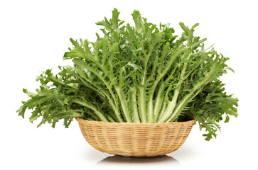 Escarole Endive on a white background