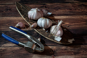 Fresh garlic bulbs and a garlic press on an old wooden board and a burlap backing.