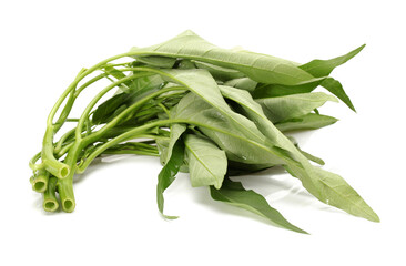 Fototapeta premium Water spinach isolated on white background