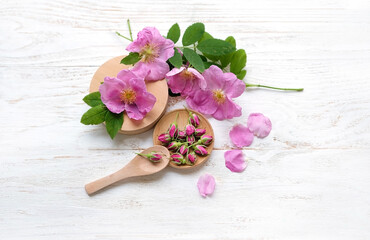 rosehip buds and flowers, medicinal herb collection. Rose hips (Rosa canina) fresh flowers on white wooden table. top view