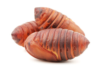chrysalis silkworm ,silk worm cocoon on white background 