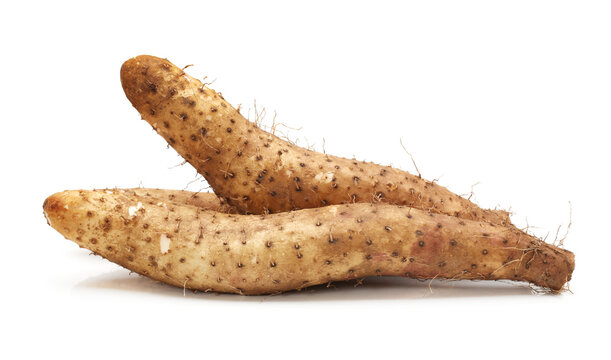 Chinese yam on white background