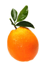 Orange fruit on the white background