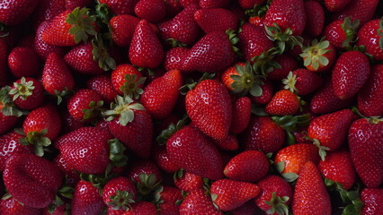 Pile of fresh red sweet strawberries. Fresh Red Ripe Strawberries