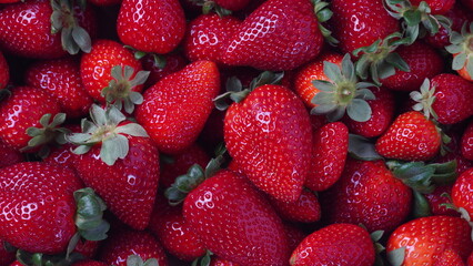 Pile of fresh red sweet strawberries. Fresh Red Ripe Strawberries
