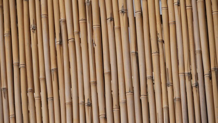 Bamboo fence background. A close up old bamboo fence on the beach